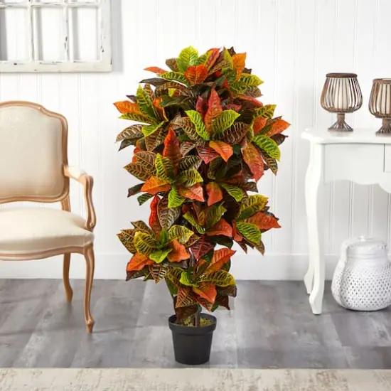 4.5ft. Potted Croton Plant {3}