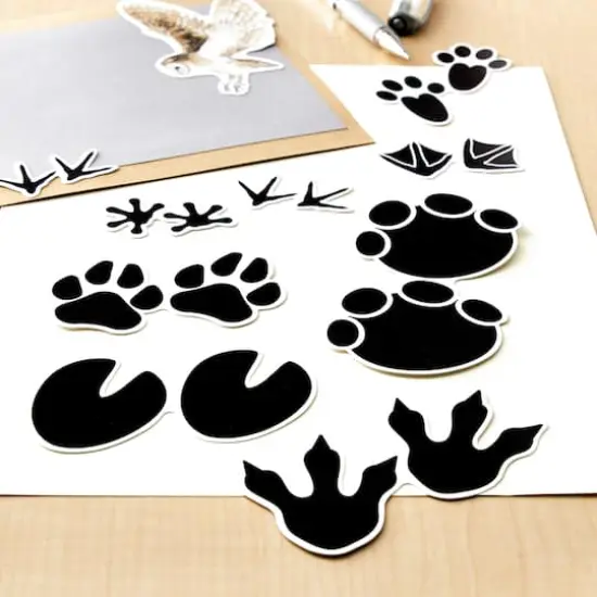 Pet Tracks Die Cut Stickers by Recollections&trade; {3}