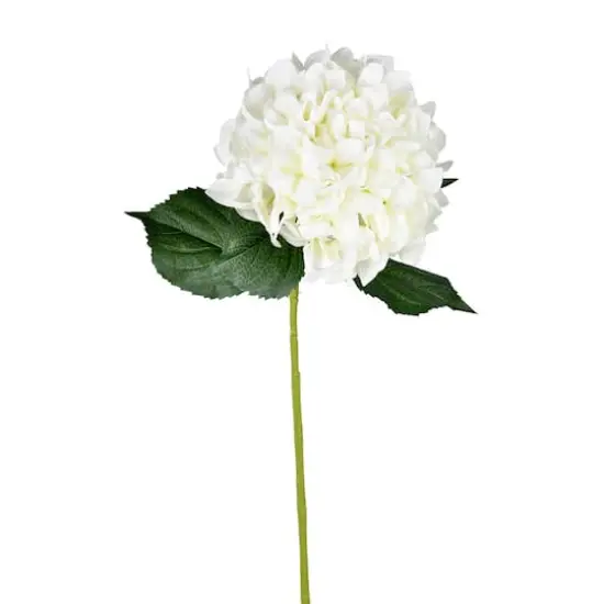 White Hydrangea Stem, 2ct. {1}