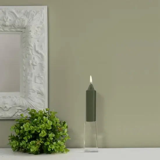 Root Candles 5" Unscented Smooth Collenette Taper Candles, 8ct. Dark Olive {5}