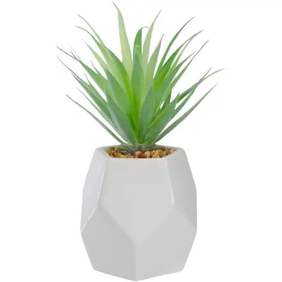 7.5" Green Sword Grass in White Geometric Pot {1}