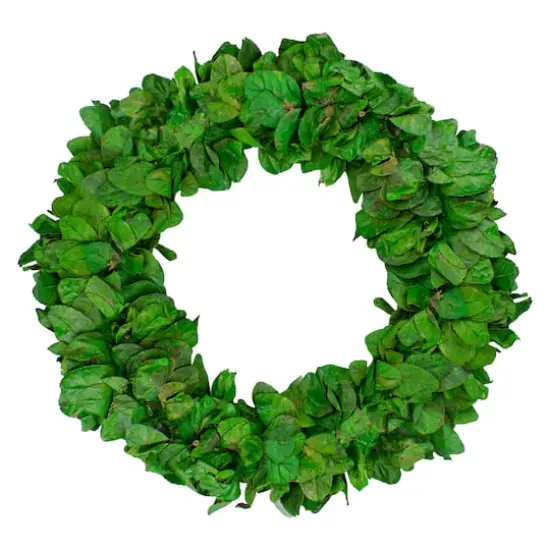 20" Lush Green Preserved Leaf Spring Garden Wreath {1}