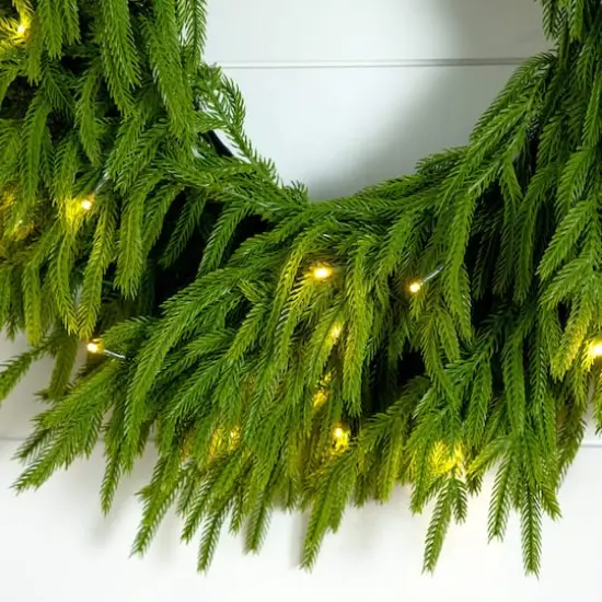 20in. Pre-Lit Artificial Real Touch Norfolk Island Pine Wreath with 35 Warm White LED Lights and Natural Look {5}