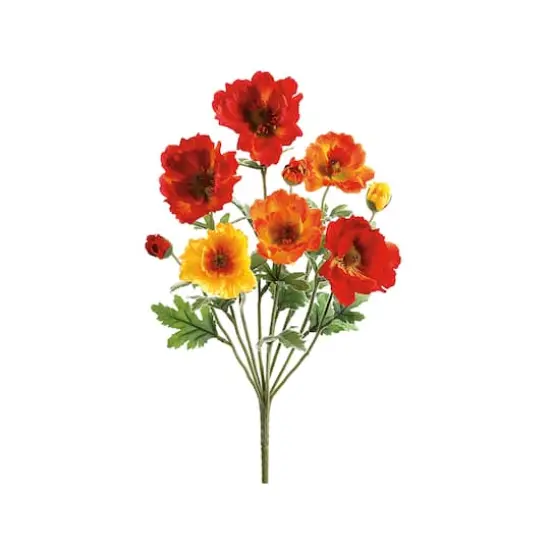 Red, Yellow & Orange Poppy Bush {1}
