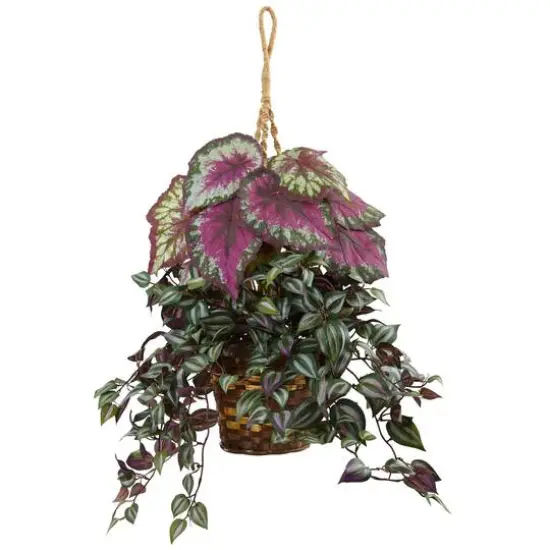3ft. Inchplant & Begonia Hanging Basket {1}