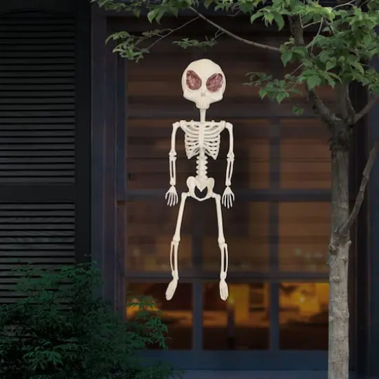 24" Alien Skeleton by Ashland&reg; {3}