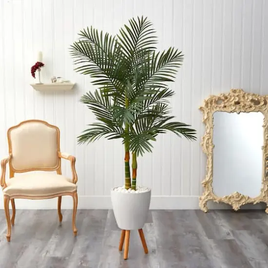 5.5ft. Golden Cane Artificial Palm Tree in White Planter {4}