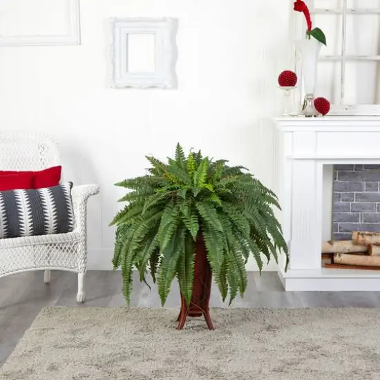 3ft. Boston Fern Plant in Stand {6}