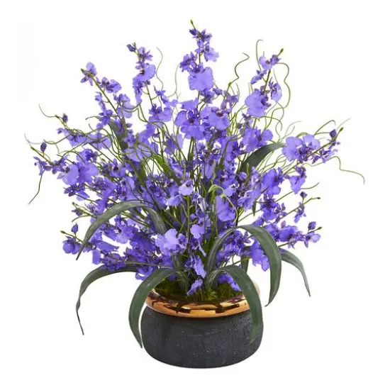 19" Dancing Lady Orchid in Black & Gold Vase Purple {1}