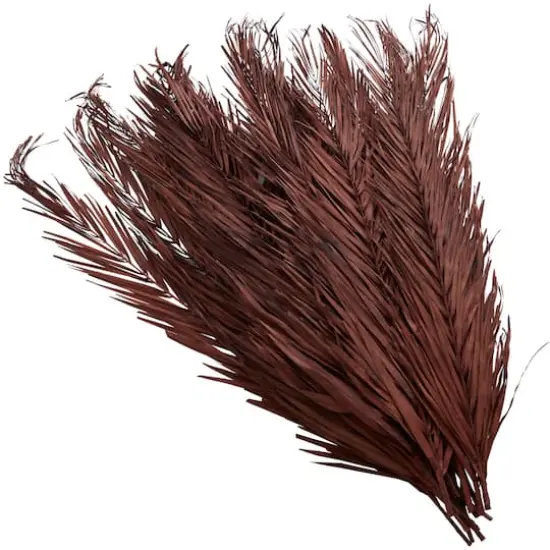 43" Natural Dried Plant Palm Leaf Bunch with Feather-Inspired Stems Dark Brown {4}