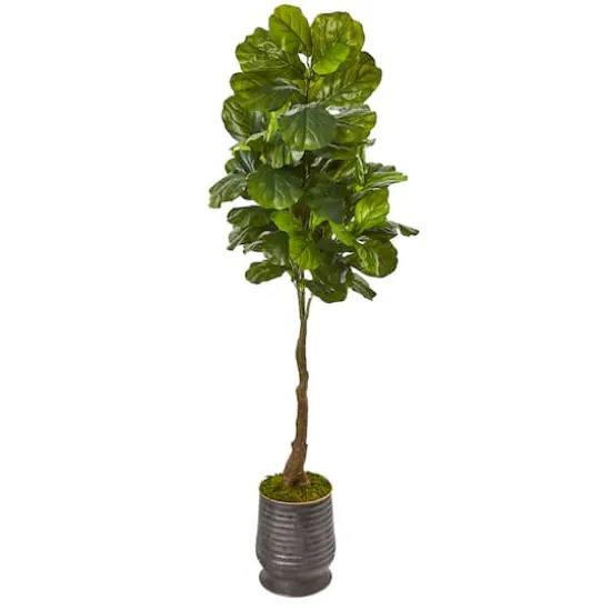 6ft. Fiddle Leaf Tree in Ribbed Metal Planter {1}