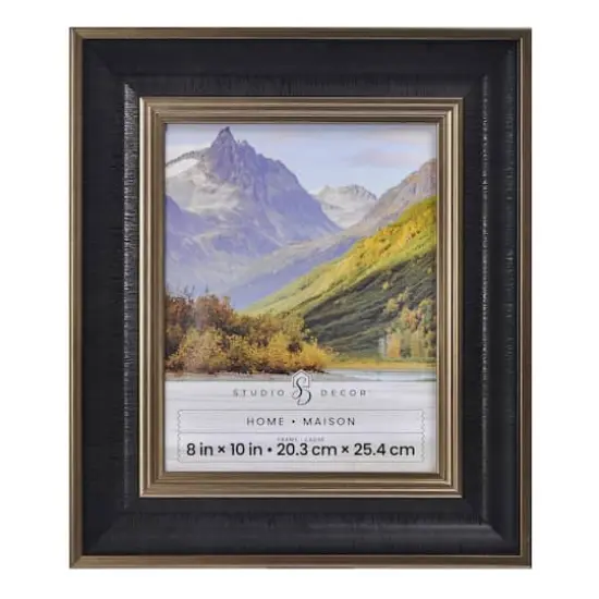 Home Black & Gold Leather Cigar Wall Frame by Studio Décor® {1}