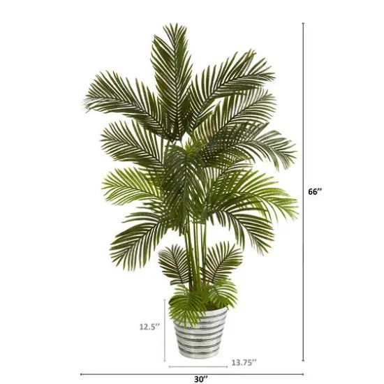 5.5ft. Areca Palm Tree in Decorative Tin Bucket {3}
