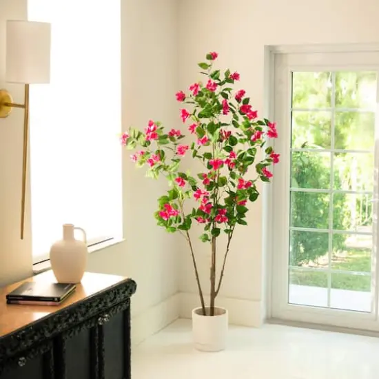 6ft. Potted Pink Minimalist Bougainvillea Tree {3}