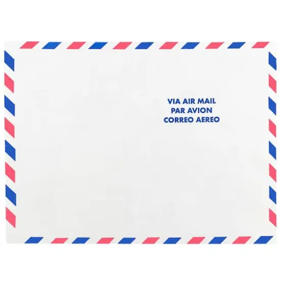 JAM Paper 9" x 12" White Airmail Tyvek Envelopes, 25ct. {1}