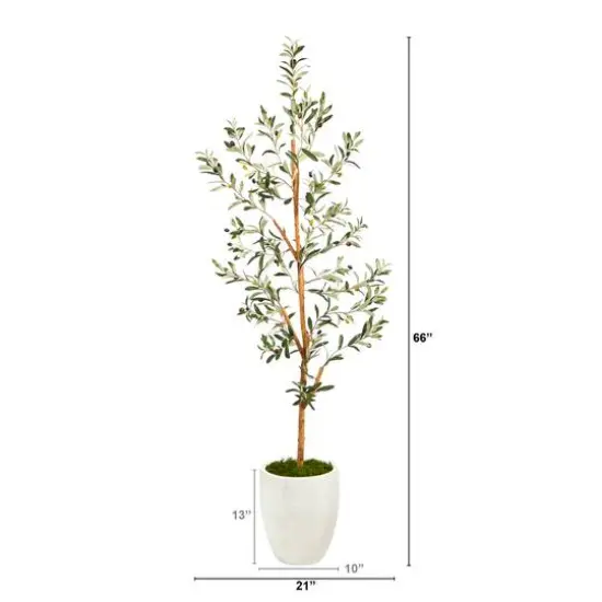 5.5ft. Olive Artificial Tree in White Planter {3}