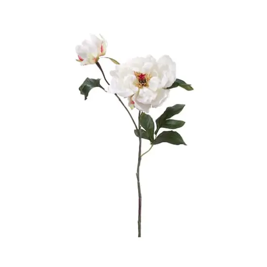 Cream Peony Spray with Bud  {1}