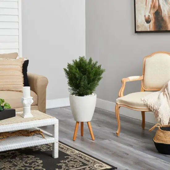 3ft. Cedar Tree in White Planter with Stand {5}