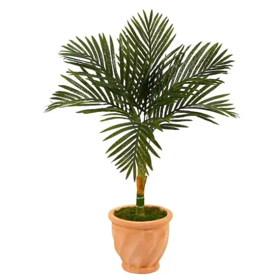 3.5ft. Golden Cane Palm Tree in Terra-Cotta Planter {1}