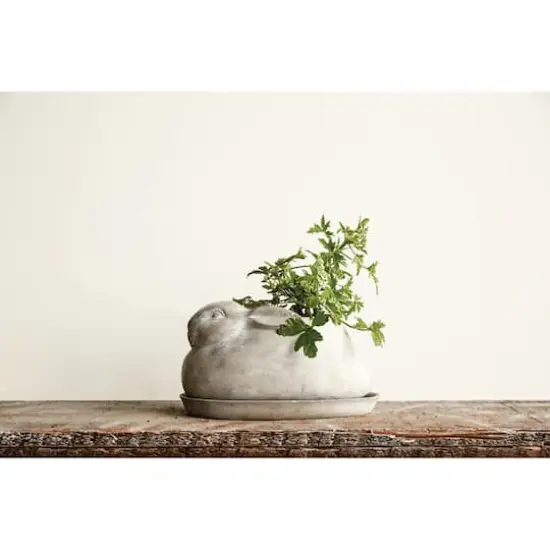 Hello Honey&reg; 5" Cement Rabbit Planter with Saucer {3}