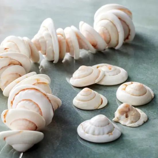 Natural Shell Nugget Beads, 13mm by Bead Landing&trade; {3}
