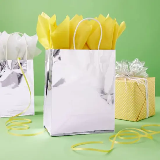 Medium Silver Gift Bag Value Pack by Celebrate It&trade; {3}