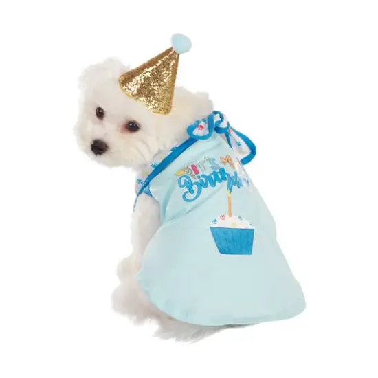 Best Furry Friends Birthday Boy Party Set {1}
