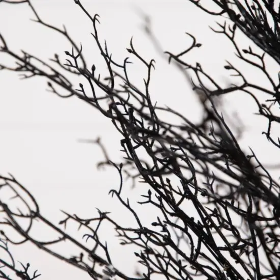 4ft. Pre-Lit LED Halloween Black Twig Artificial Fall Tree in Burlap Planter {8}