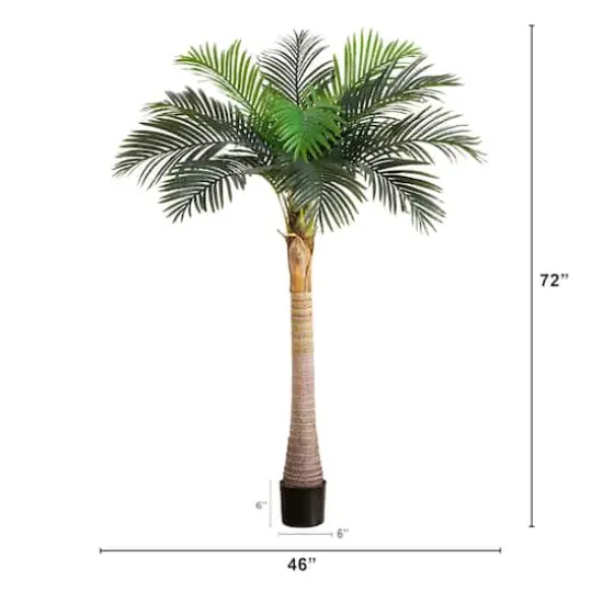 6ft. Potted Coconut Palm Tree {5}