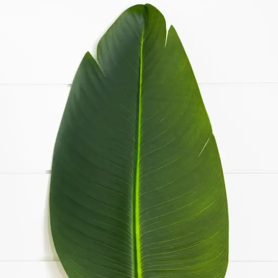 40in. Artificial Travelers Palm Stems - Set of 6 {5}