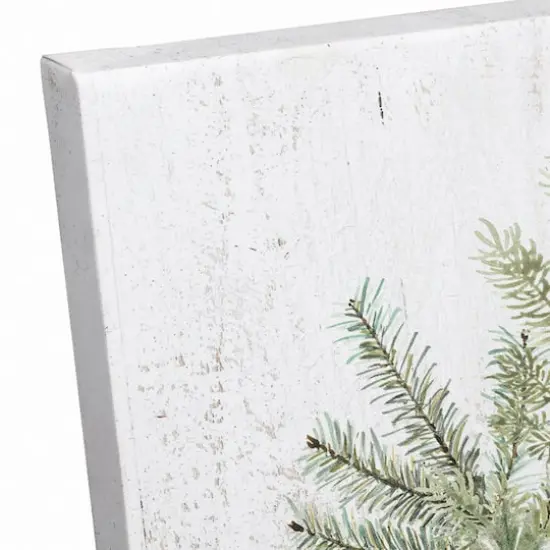 Season Jolly Plants 16x20 Canvas Wall Art {4}