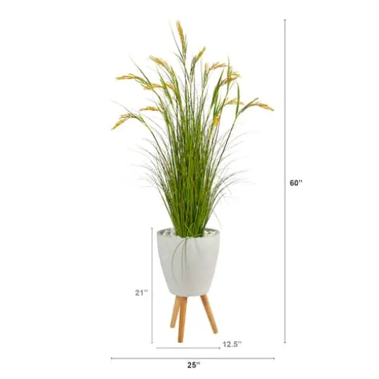 5ft. Wheat Grain Plant in Decorative White Planter {3}