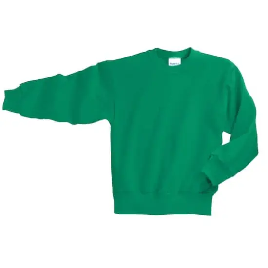 Port & Company&reg; Youth Core Fleece Crewneck Sweatshirt Kelly {1}