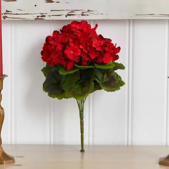 Red Geranium Bush, 4ct. {6}