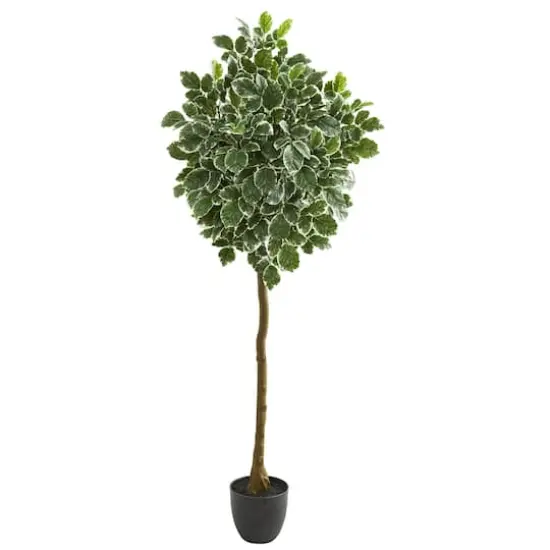 6ft. Potted Green Variegated Aralia Artificial Tree {1}