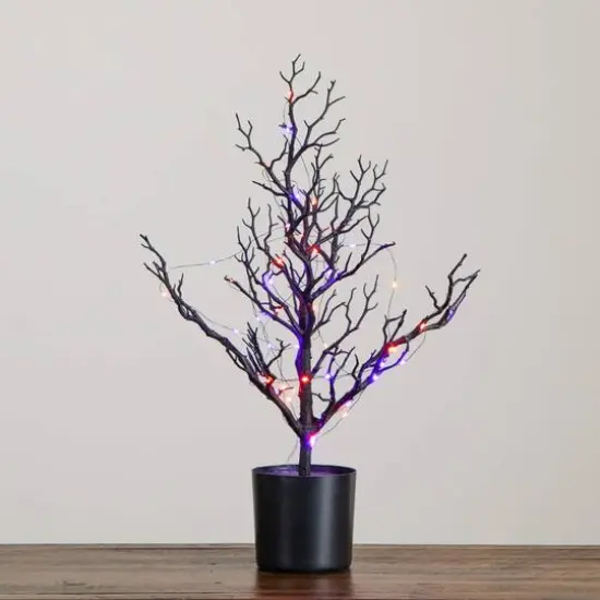 2ft. Pre-Lit Artificial Halloween Black Spooky Twig Tree with 60 Orange & Purple Copper Wire String LED Lights {7}