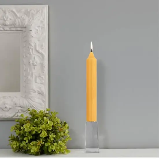 Root Candles 9" Unscented Grecian Collenette Taper Candles, 4ct. Butterscotch {4}