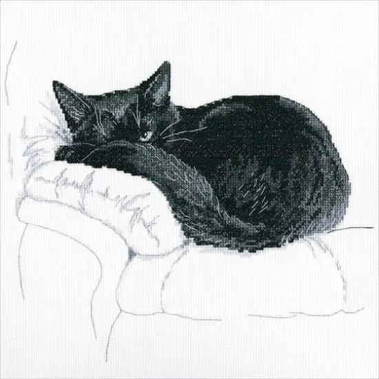 RTO Among Black Cats I Counted Cross Stitch Kit {1}