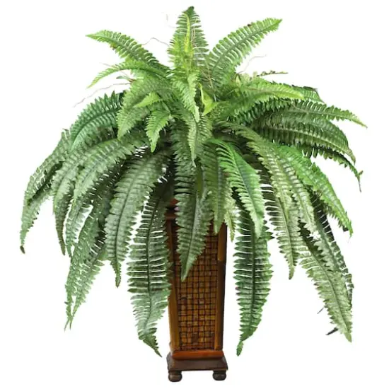 2.5ft. Boston Fern in Wood Vase {1}