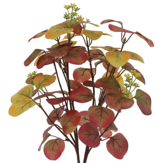 20" Silver Dollar Eucalyptus Bush by Ashland&reg; {3}