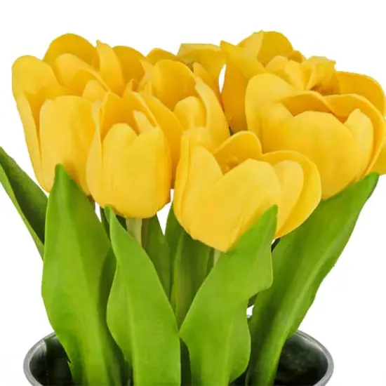 9" Tulip Bouquet in Metal Pot Yellow {5}