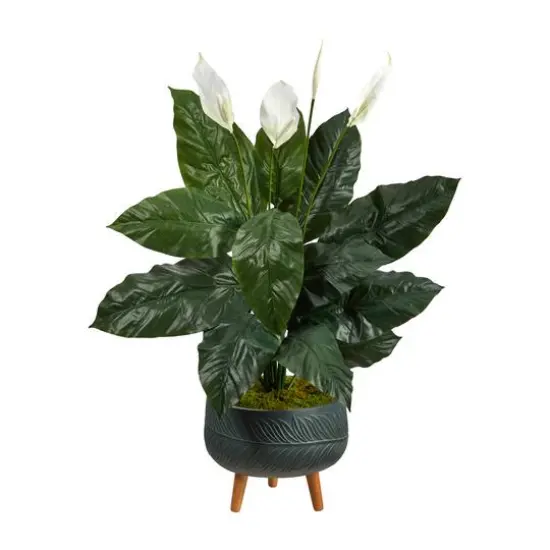 4ft. Peace Lily Plant in Black Planter with Stand {1}