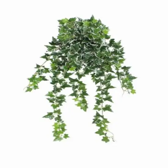 24" Decorative Green & White Ivy Spring Floral Hanging Bush {1}