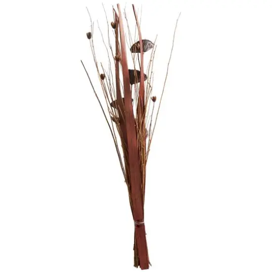 40" Brown Dried Lotus Flower Natural Foliage Bundle {5}