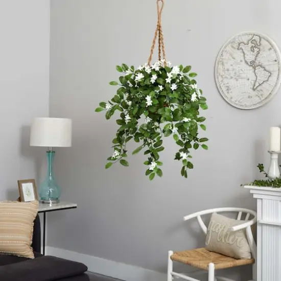 3.5ft. Stephanotis Flowering Plant in Hanging Basket {5}