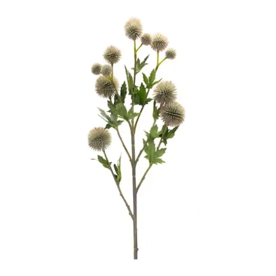 Sage Allium Spray, 6ct. {3}