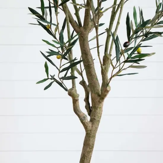 7ft. Potted Greco Olive Tree {5}