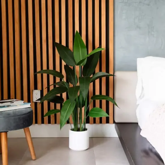 3.5ft. Sky Bird Tree in White Decorative Planter {3}