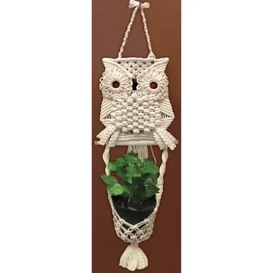 Design Works&trade; Zenbroidery&trade; Owl Planter Macram&eacute; Wall Hanging Kit {3}