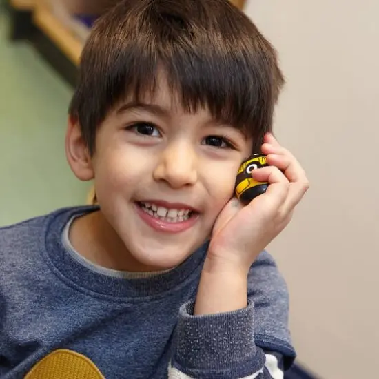 Yellow Door Honey Bee Number Stones {5}